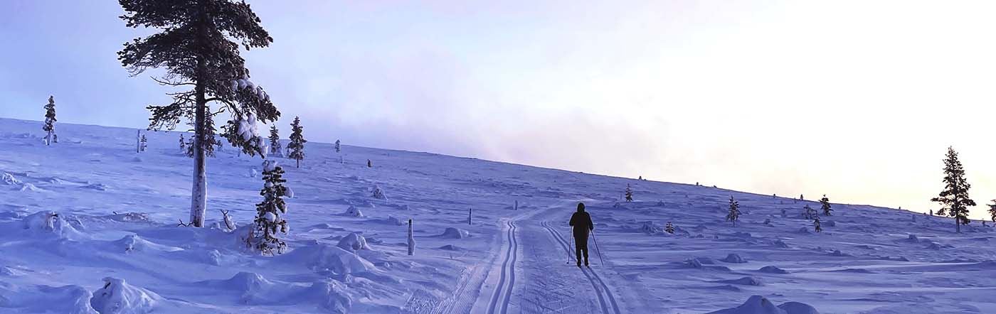 Hiihtoloma Saariselällä
