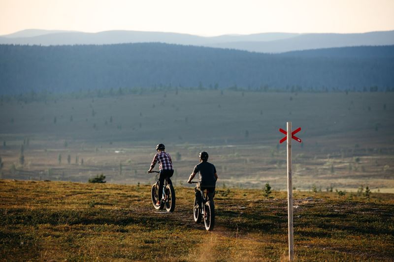 laplandnorthdestinations-kotacollectivephoto_summer_saariselka_biking_ofb-18.jpg