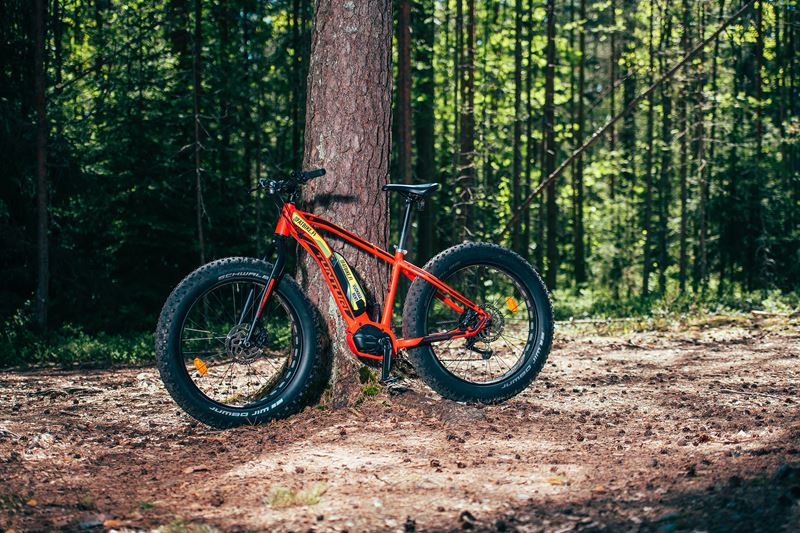 efatbike_pyora_puu.jpg